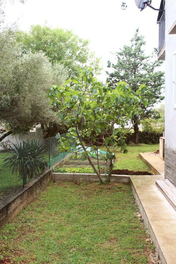 Turkovic Apartments Zgaljic Exterior foto